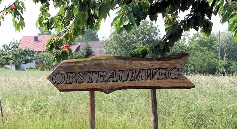 Bild zu Obstbaumweg "Schneiz" in Neidenstein
